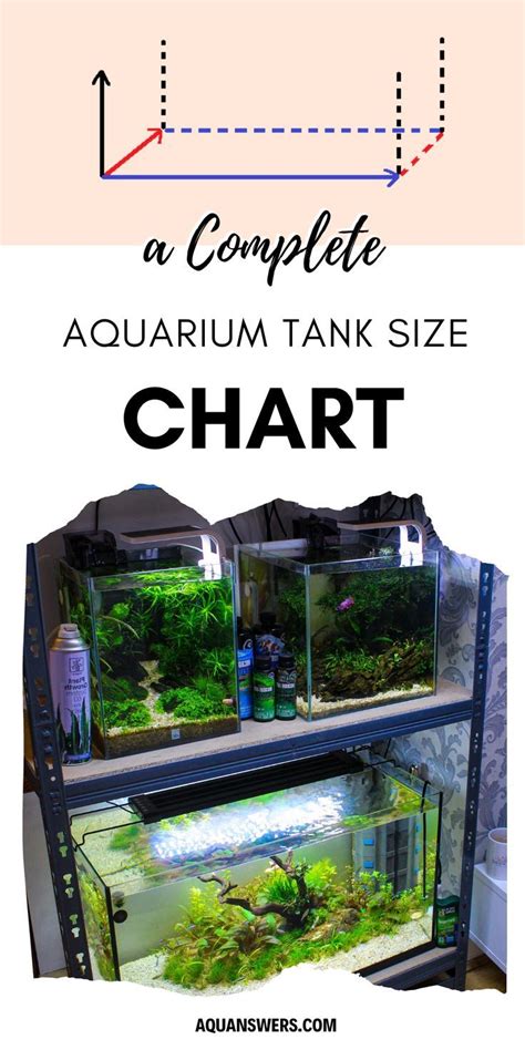 A Cheat Sheet to Fish Tank Gallon Sizes and Dimensions.